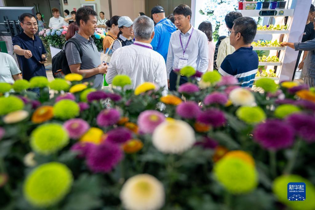 谁有棋牌网